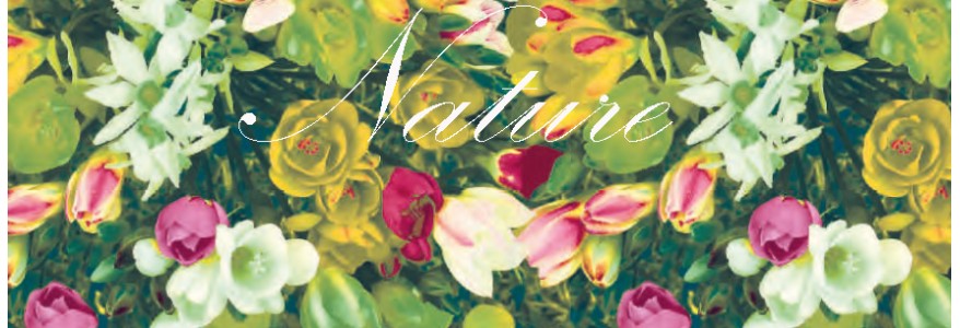 La Demesure - Nature